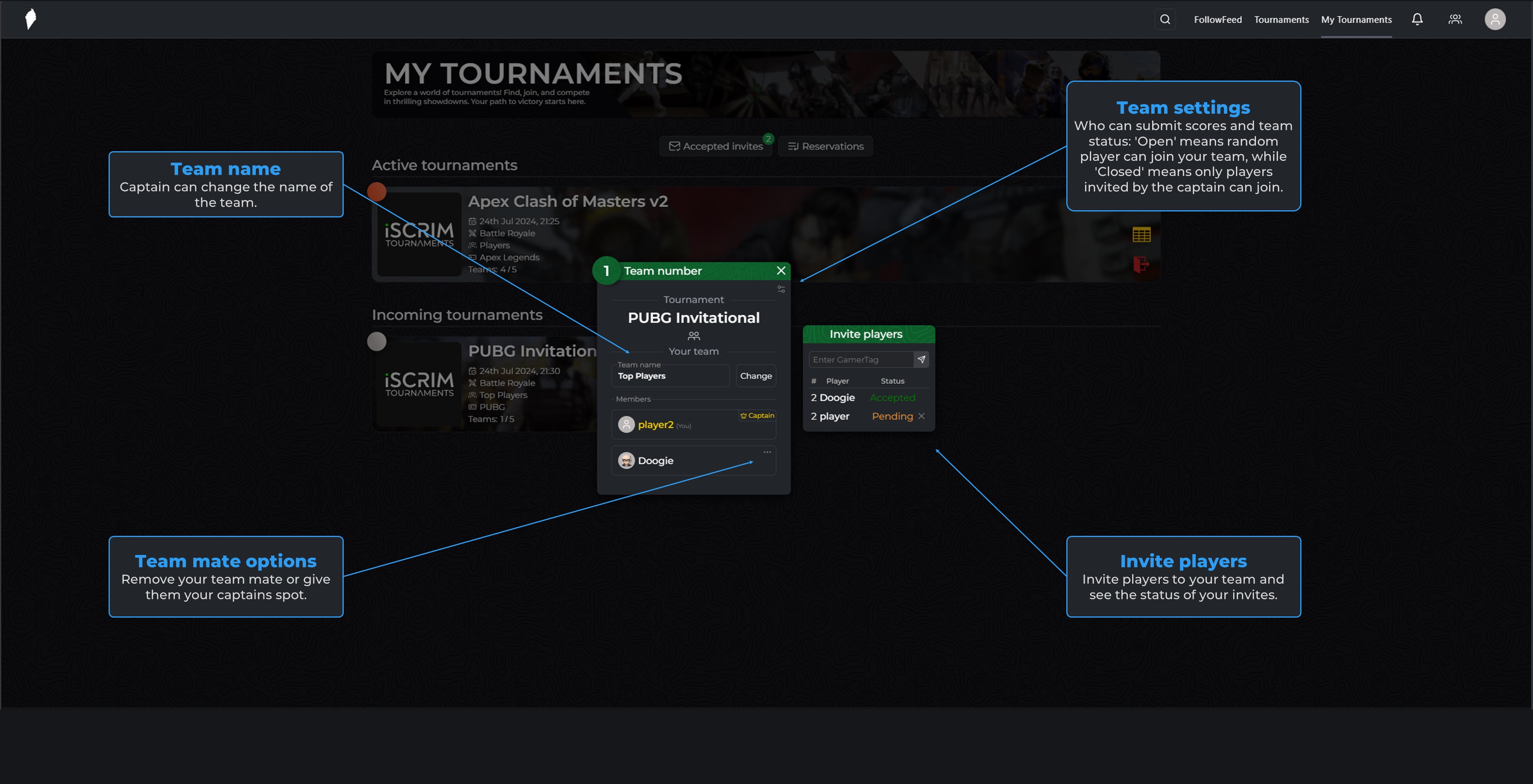 Manage your team